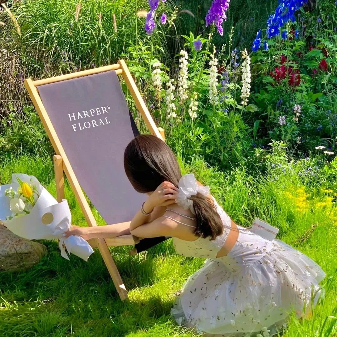 爸妈来自二次元